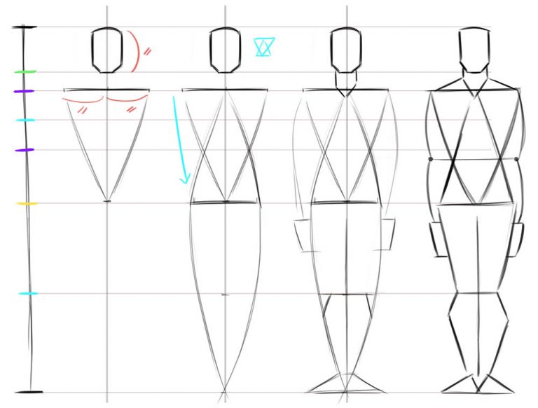 ZEPHY | Dessiner Les Proportions Du Corps Humain : Techniques