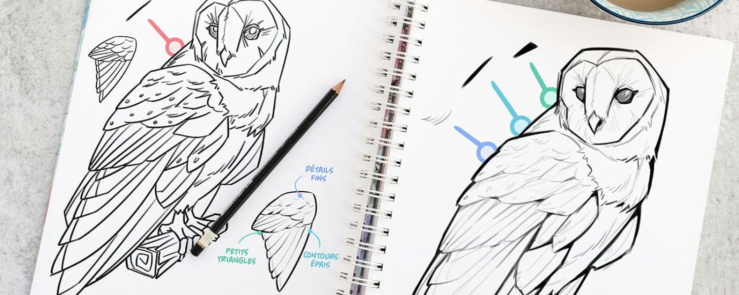 apprendre a dessiner lignes guide traits
