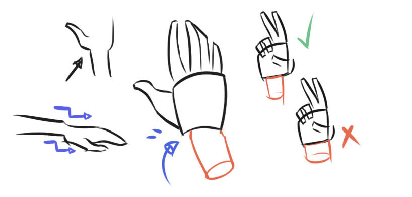 Comment dessiner les mains