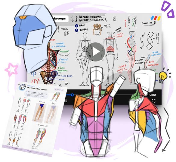 Le programme complet pour apprendre à dessiner - Zephy